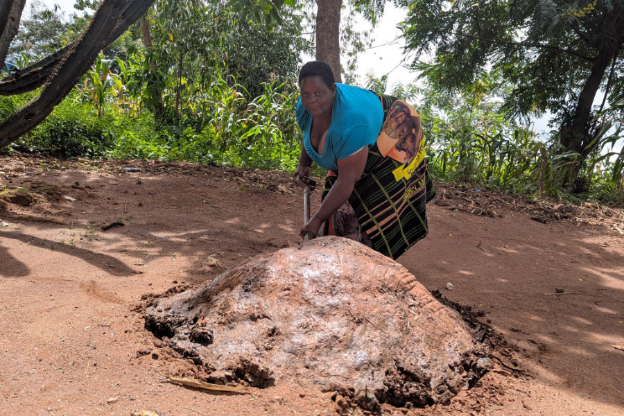 Judith Chunga making Manure