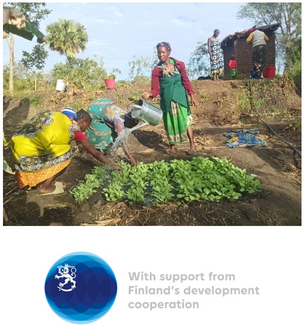 Farmers’ Clubs members taking care of the nursery bed | DAPP Malawi Farmers’ Clubs members taking care of the nursery bed | DAPP Malawi